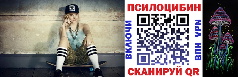 omg сайт  Жиздра  Псилоцибиновые грибы ЛСД 